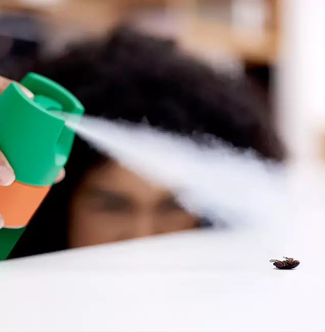 Why Atlanta, GA Homeowners Choose Atlanta Pest Control Expert for Roach Pest Control?