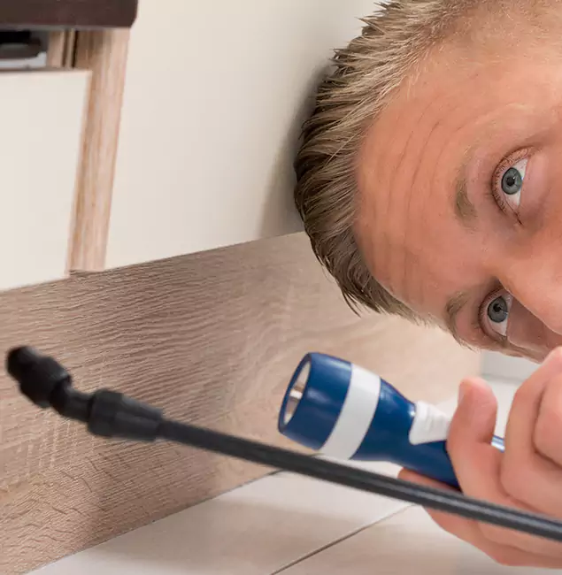 Why Choose Atlanta Pest Control Expert for Rodent Exterminator in Atlanta, GA?