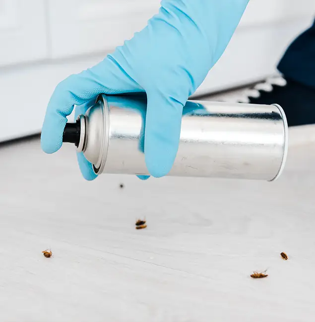 Why Choose Atlanta Pest Control Expert for Safe Bed Bug Treatment in Atlanta, GA?