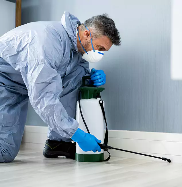 Why Choose Atlanta Pest Control Expert for Subterranean Termites Treatment in Atlanta, GA?