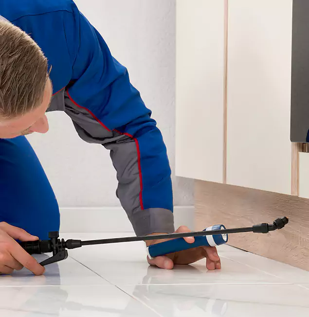 Why Atlanta Residents Choose Atlanta Pest Control Expert to Get Rid of Sugar Ants?