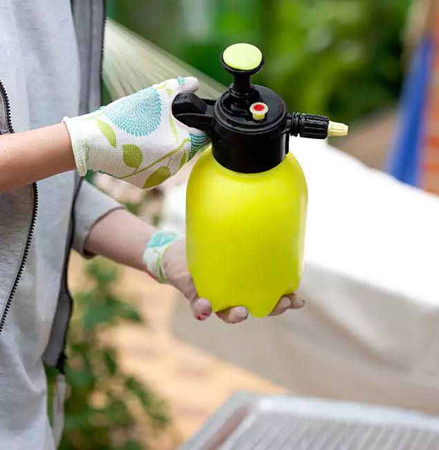 Why Choose Us: Atlanta Pest Control Expert Termite Spraying Experts in Atlanta, GA?