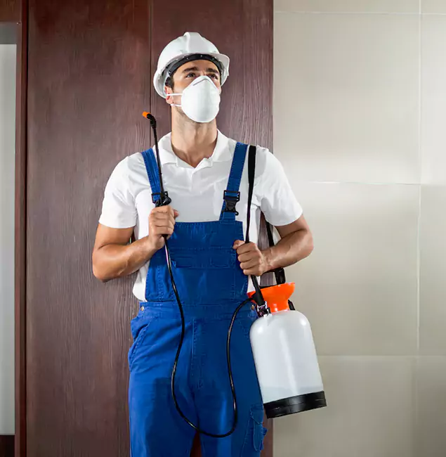 Why Choose Atlanta Pest Control Expert for Termite Tenting in Atlanta, GA?