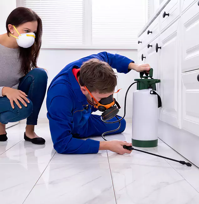 Why Choose Wood Termite Treatment by Atlanta Pest Control Expert in Atlanta, GA?