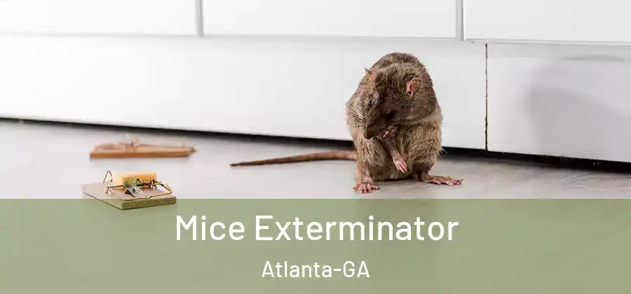  Mice Exterminator Atlanta-GA