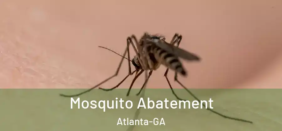 Mosquito Abatement Atlanta-GA