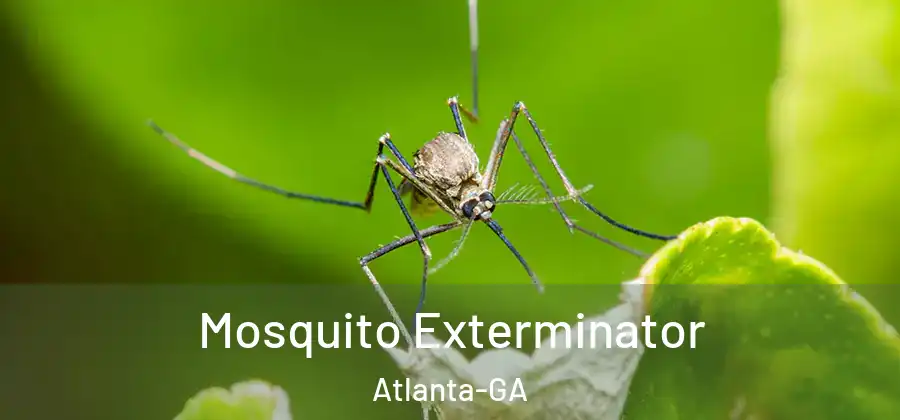 Mosquito Exterminator Atlanta-GA
