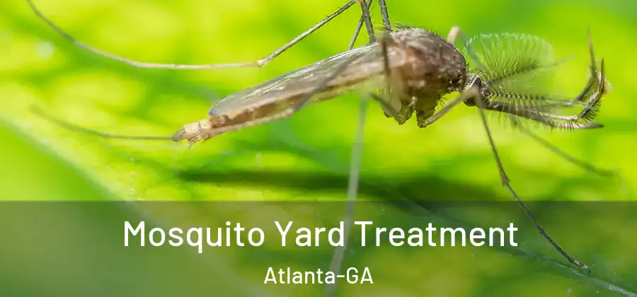 Mosquito Yard Treatment Atlanta-GA