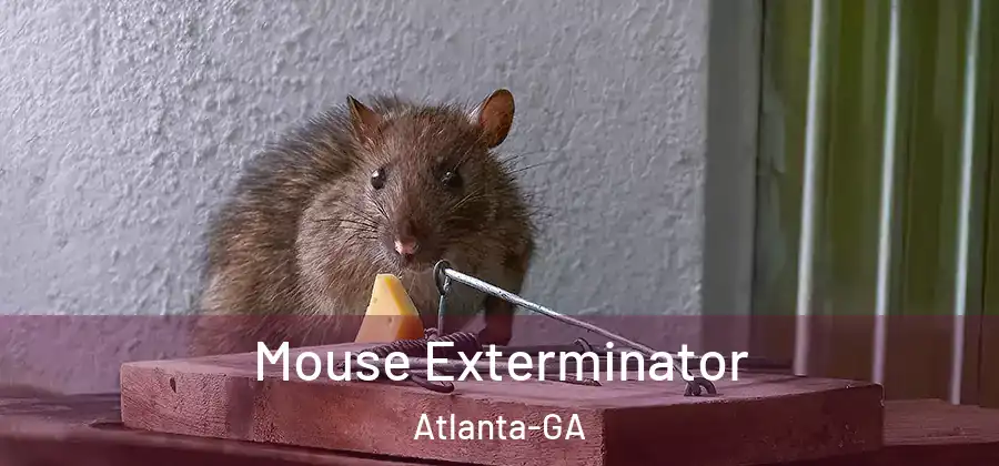  Mouse Exterminator Atlanta-GA