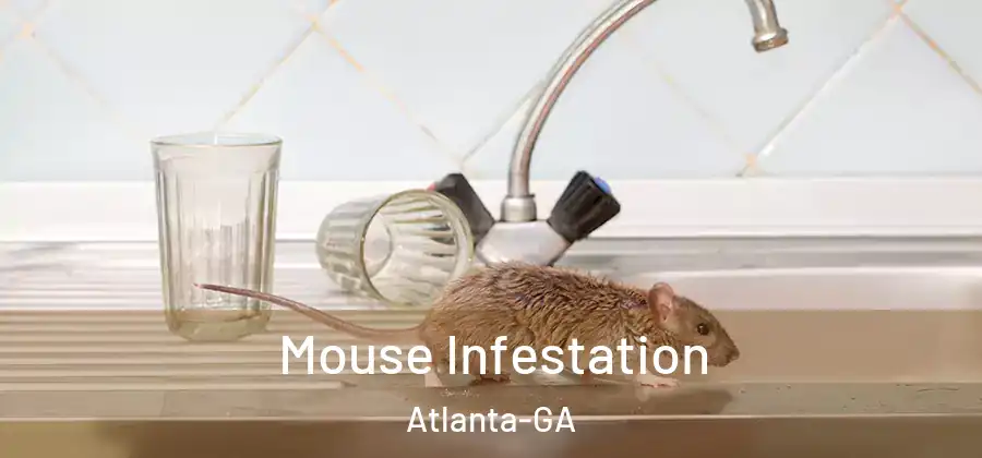 Mouse Infestation Atlanta-GA