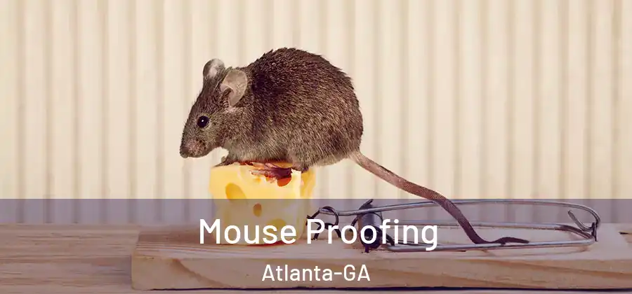 Mouse Proofing Atlanta-GA