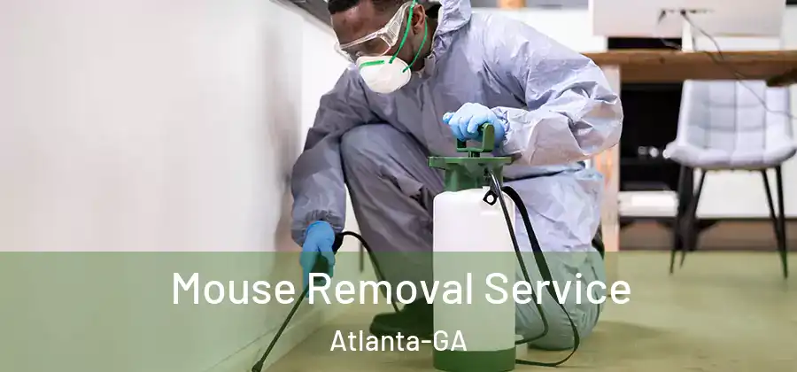Mouse Removal Service Atlanta-GA