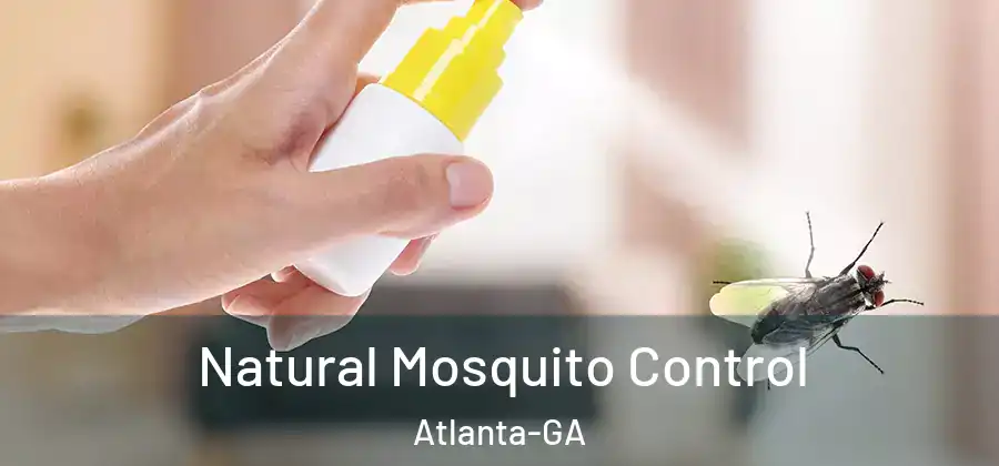  Natural Mosquito Control Atlanta-GA