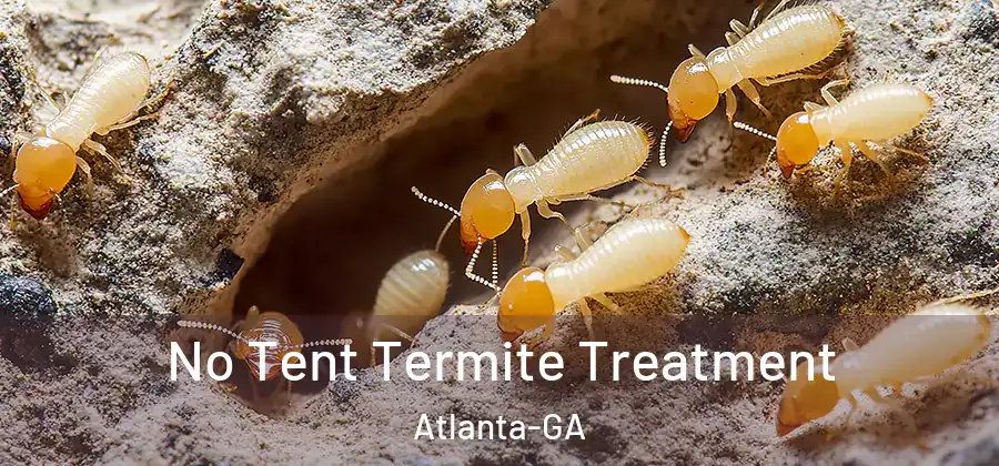  No Tent Termite Treatment Atlanta-GA