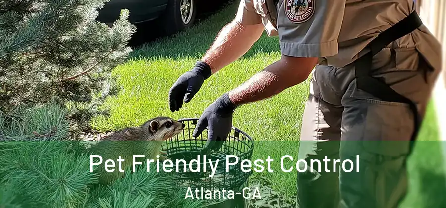 Pet Friendly Pest Control Atlanta-GA