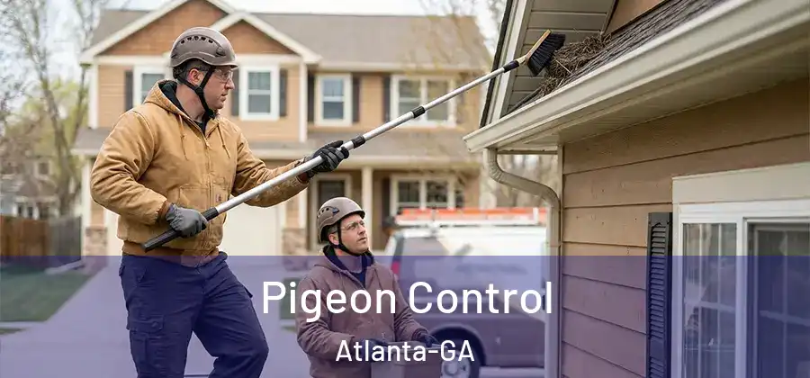  Pigeon Control Atlanta-GA