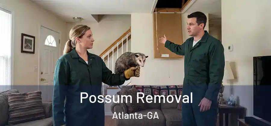Possum Removal Atlanta-GA
