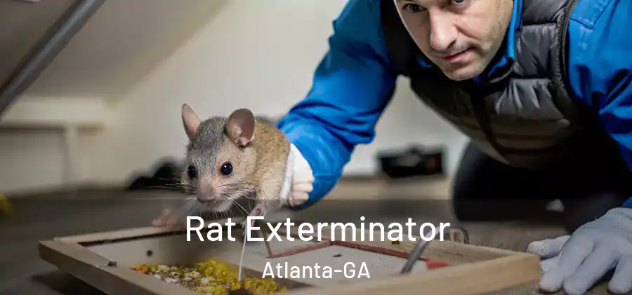  Rat Exterminator Atlanta-GA