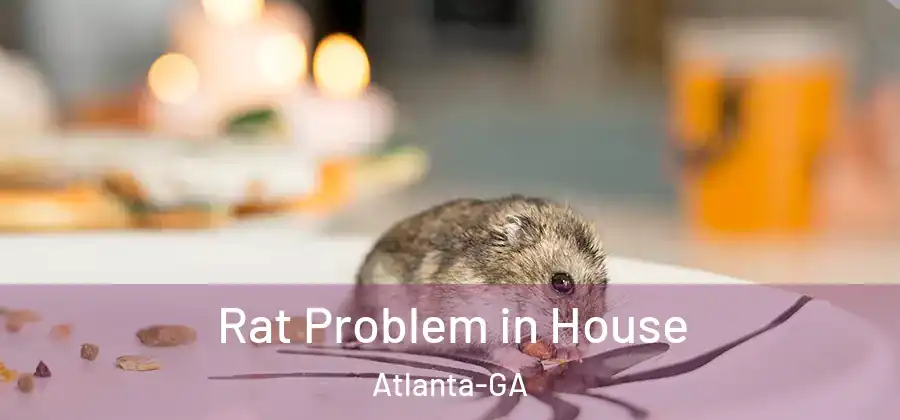 Rat Problem in House Atlanta-GA