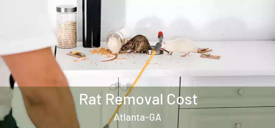 Rat Removal Cost Atlanta-GA