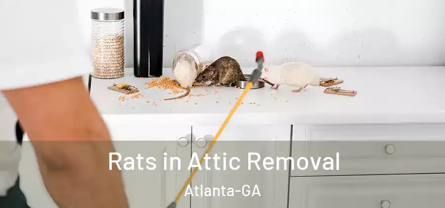  Rats in Attic Removal Atlanta-GA