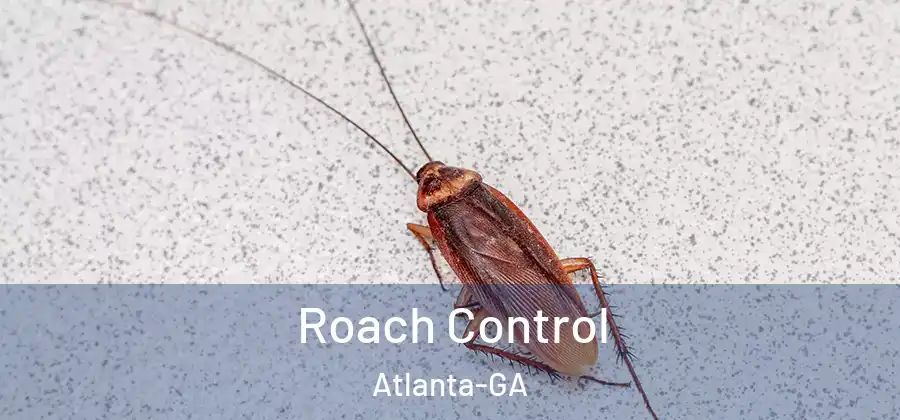 Roach Control Atlanta-GA