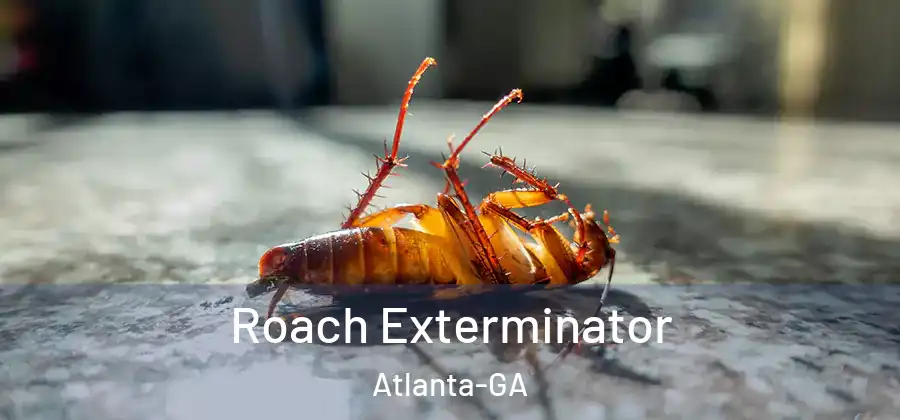 Roach Exterminator Atlanta-GA