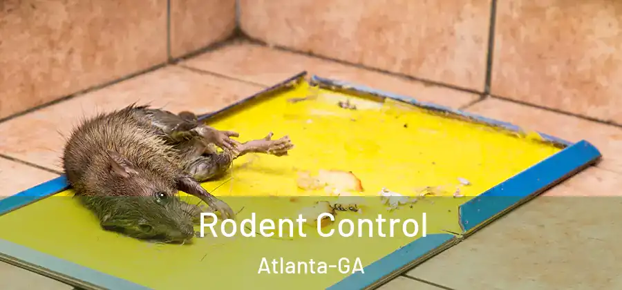 Rodent Control Atlanta-GA
