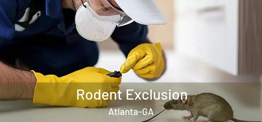 Rodent Exclusion Atlanta-GA