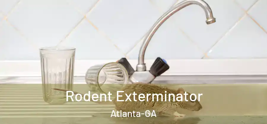 Rodent Exterminator Atlanta-GA