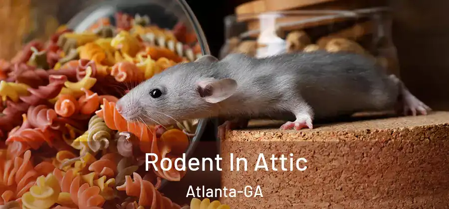 Rodent In Attic Atlanta-GA