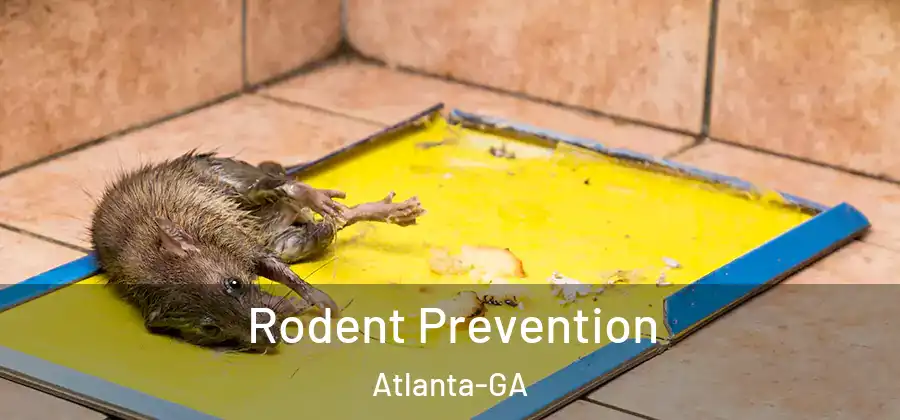 Rodent Prevention Atlanta-GA