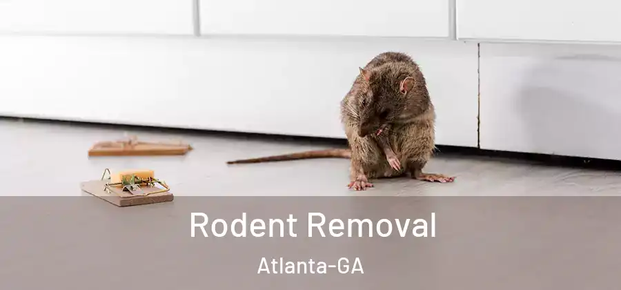 Rodent Removal Atlanta-GA