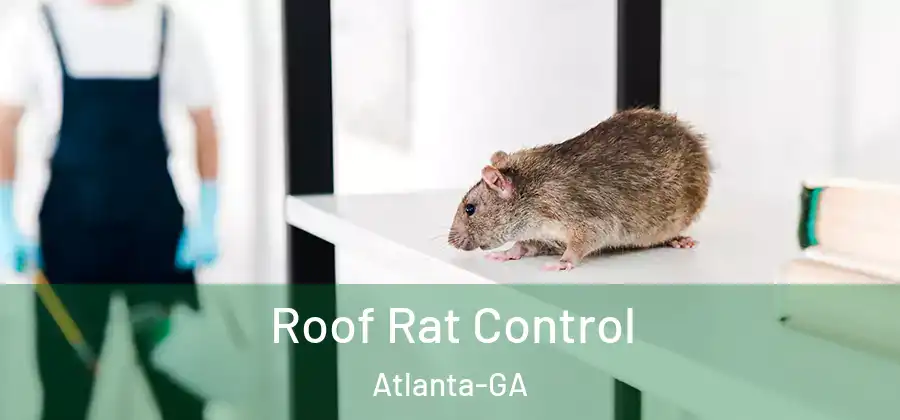  Roof Rat Control Atlanta-GA