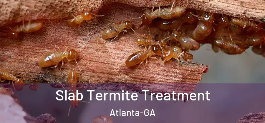  Slab Termite Treatment Atlanta-GA