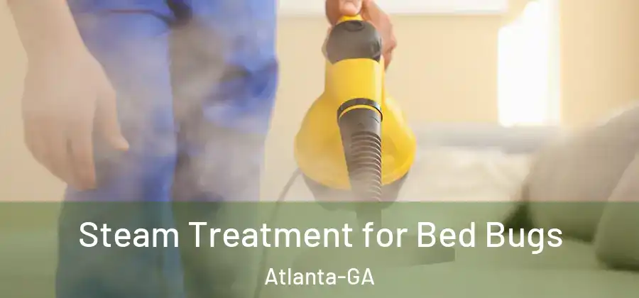 Steam Treatment for Bed Bugs Atlanta-GA