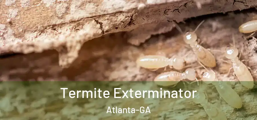  Termite Exterminator Atlanta-GA