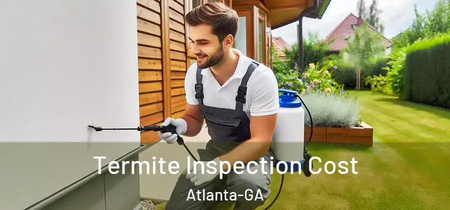 Termite Inspection Cost Atlanta-GA