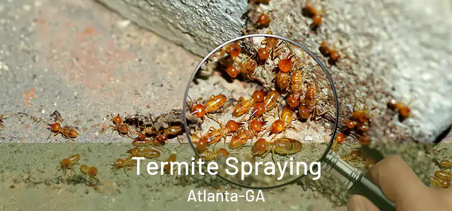  Termite Spraying Atlanta-GA