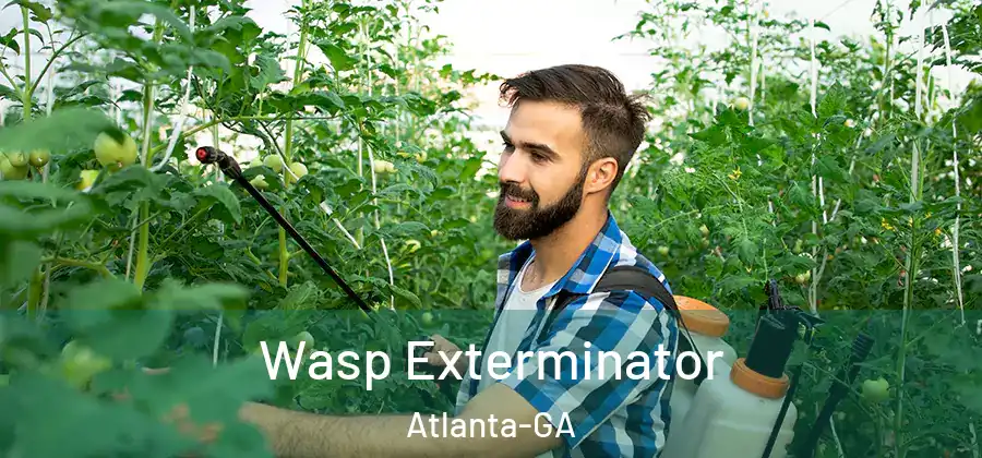 Wasp Exterminator Atlanta-GA