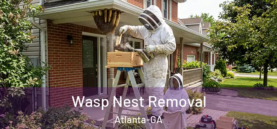 Wasp Nest Removal Atlanta-GA