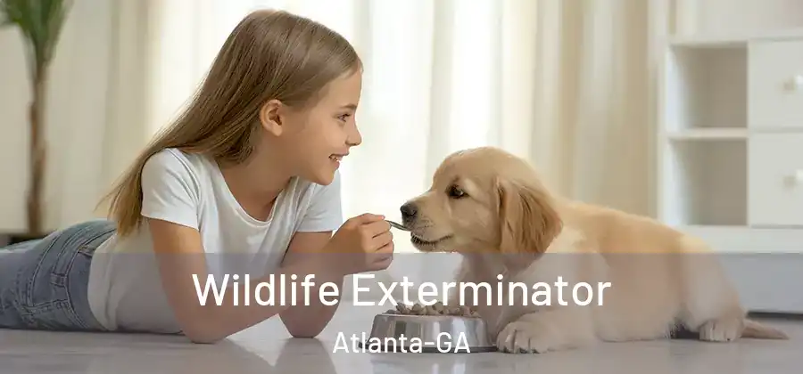 Wildlife Exterminator Atlanta-GA