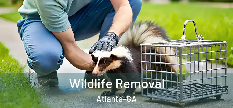 Wildlife Removal Atlanta-GA