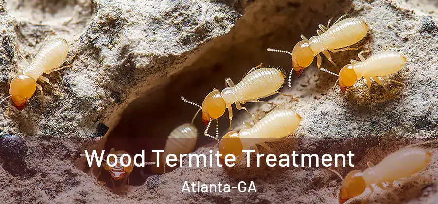  Wood Termite Treatment Atlanta-GA