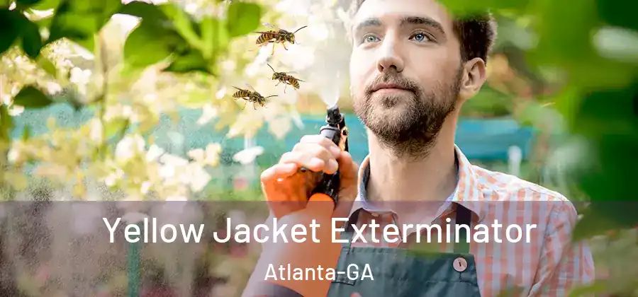 Yellow Jacket Exterminator Atlanta-GA