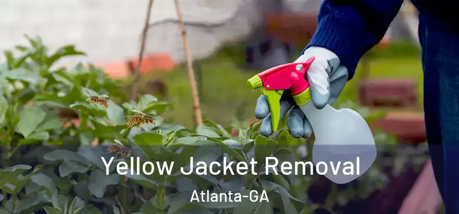 Yellow Jacket Removal Atlanta-GA
